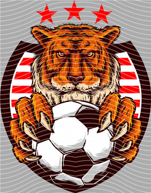 Street design-JT 4377